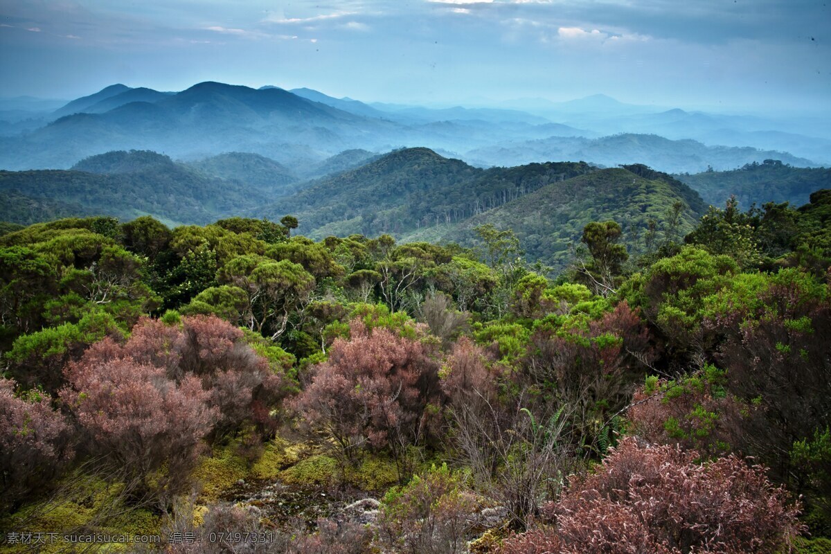 原始森林 远山 山峦叠嶂 连绵起伏 山峰 植被 植物 从林 树木 山脉 热带雨林 十万大山 群山环绕 自然景观 自然风景