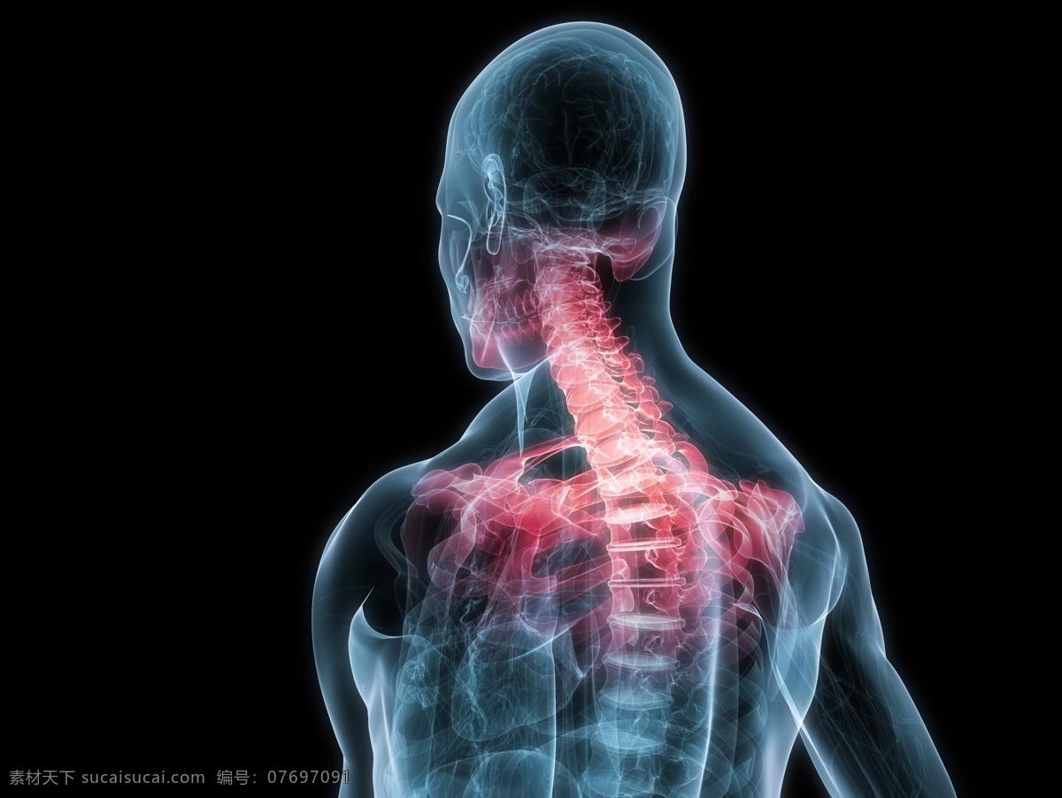 人体 脊柱 透视图 医学 科学研究 治疗 医疗护理 现代科技