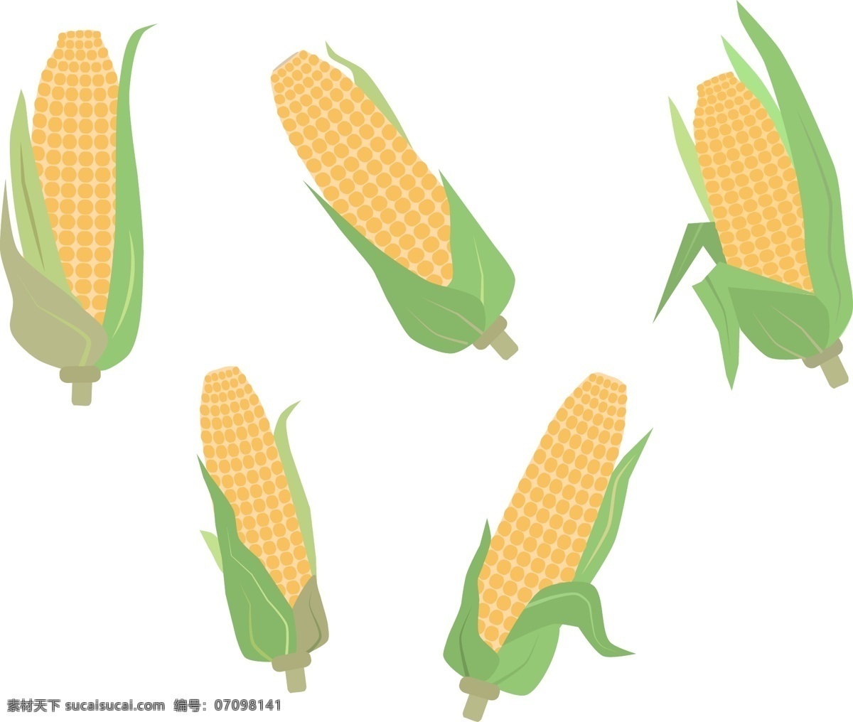 玉米设计图 矢量图 彩色 黄色 白色
