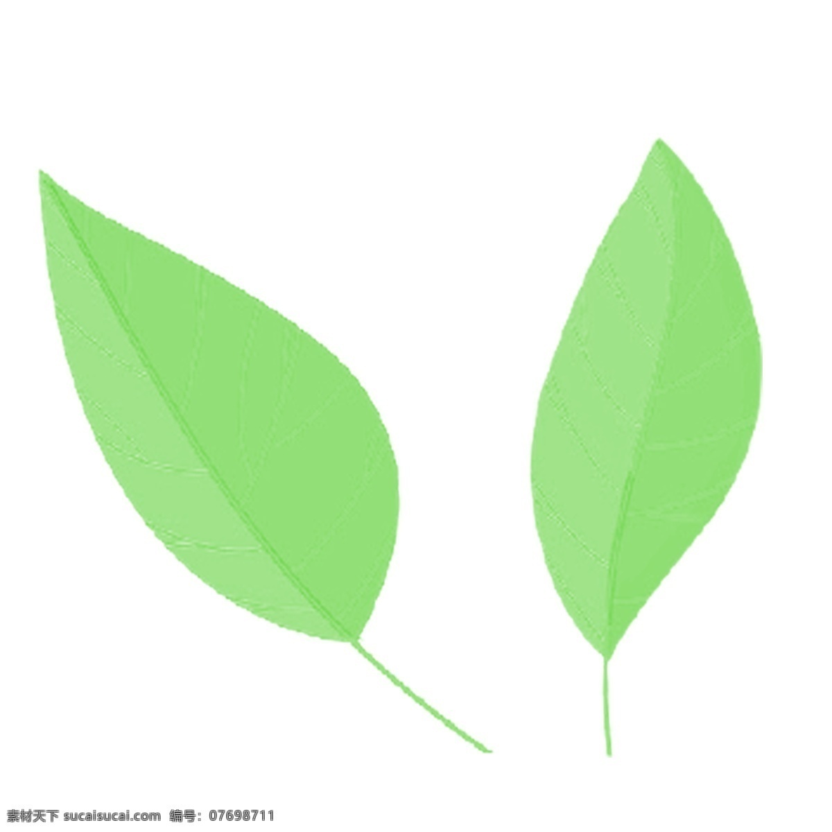 绿色 叶子 免 抠 图 绿色生态植物 绿色植物 生态植物 时尚的叶子 健康植物 绿色的叶子 免抠图