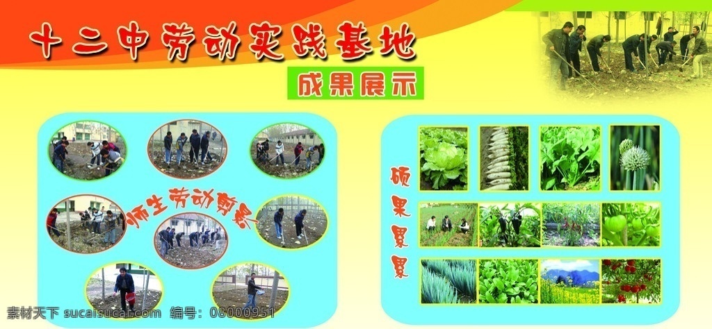 展板 校园 学校 劳动 背景 展板模板 广告设计模板 源文件