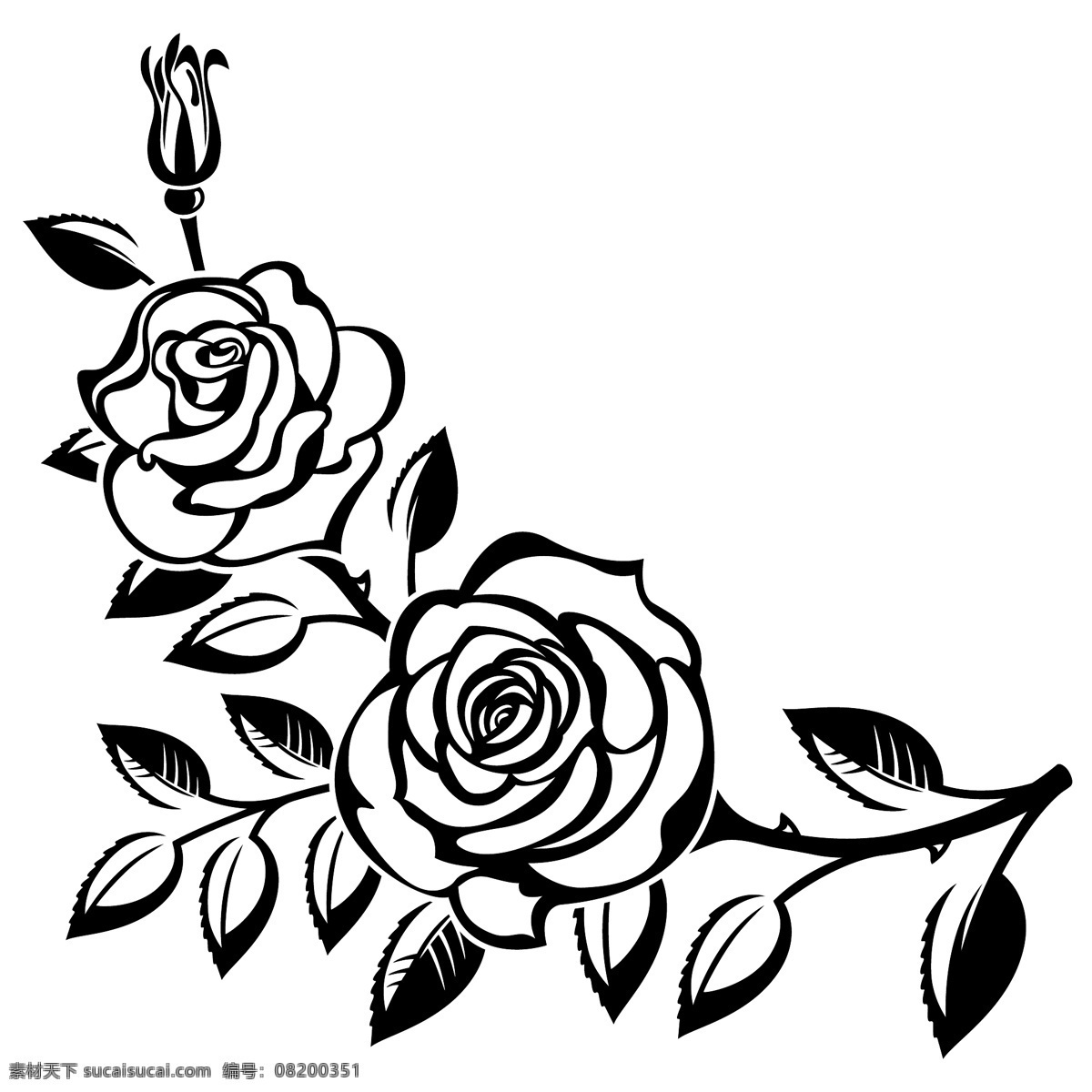 黑白 时尚 玫瑰花 植物 插画 手绘 艺术