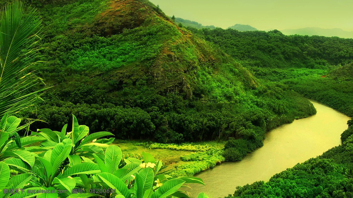 风景 远山 绿树 河流 生机 自然景观 自然风景