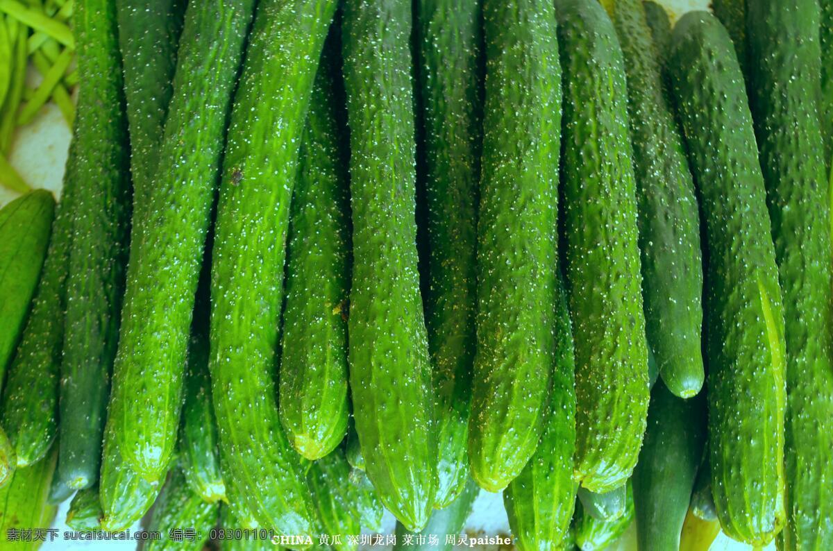 黄瓜 凉菜 零售 深圳 生物世界 蔬菜 蔬菜水果 水果 藤瓜 熟菜 排放 整洁 集装 龙岗 嶂背 菜市场 销售 蔬菜总汇 生物景观 风景 生活 旅游餐饮