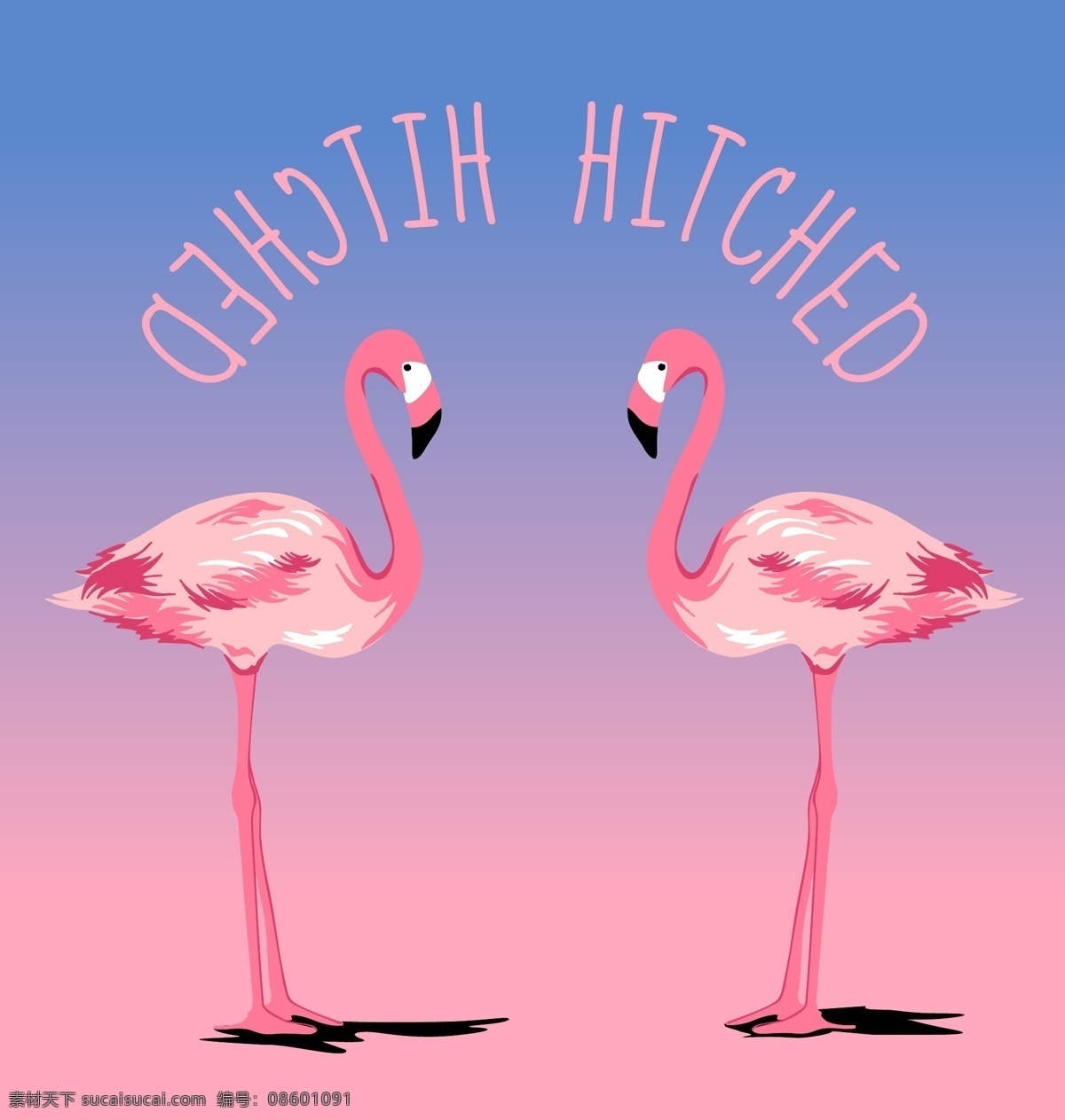 卡通 爱情 火烈鸟 矢量 hitched 装饰背景
