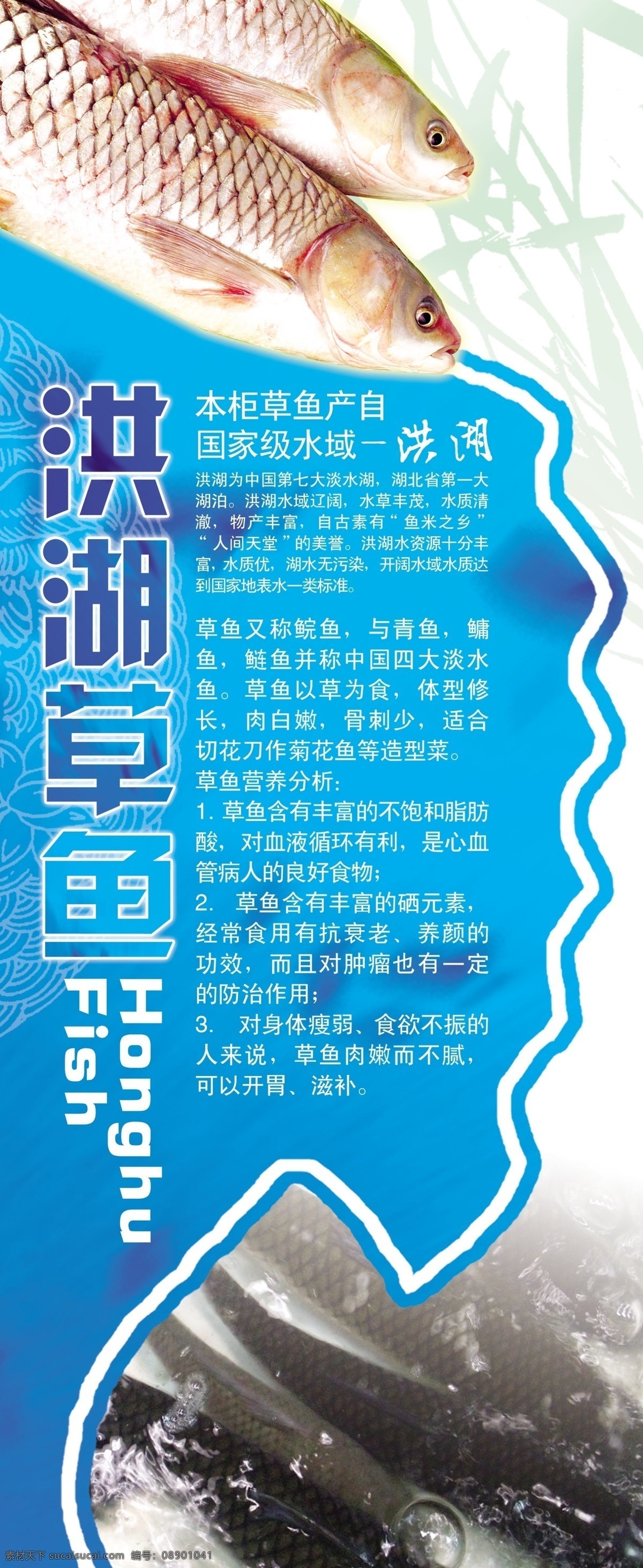 草鱼展架 鱼 展架 洪湖 特产介绍 分层 源文件