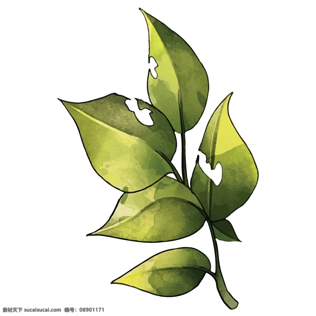 绿色 的卡 通 叶子 免 抠 图 仿真植物叶子 卡通仿真叶子 卡通叶子 叶子简笔画 清新空气 果树