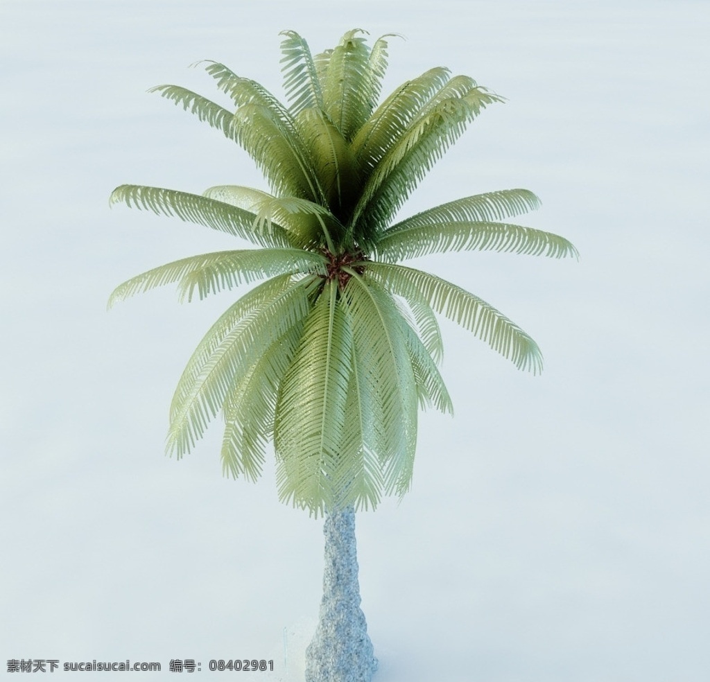 桫椤 植物 景观植物 园林植物 单体模型 vray模型 max模型 重 制版 单体 模型 合 辑 室内模型 3d设计 max