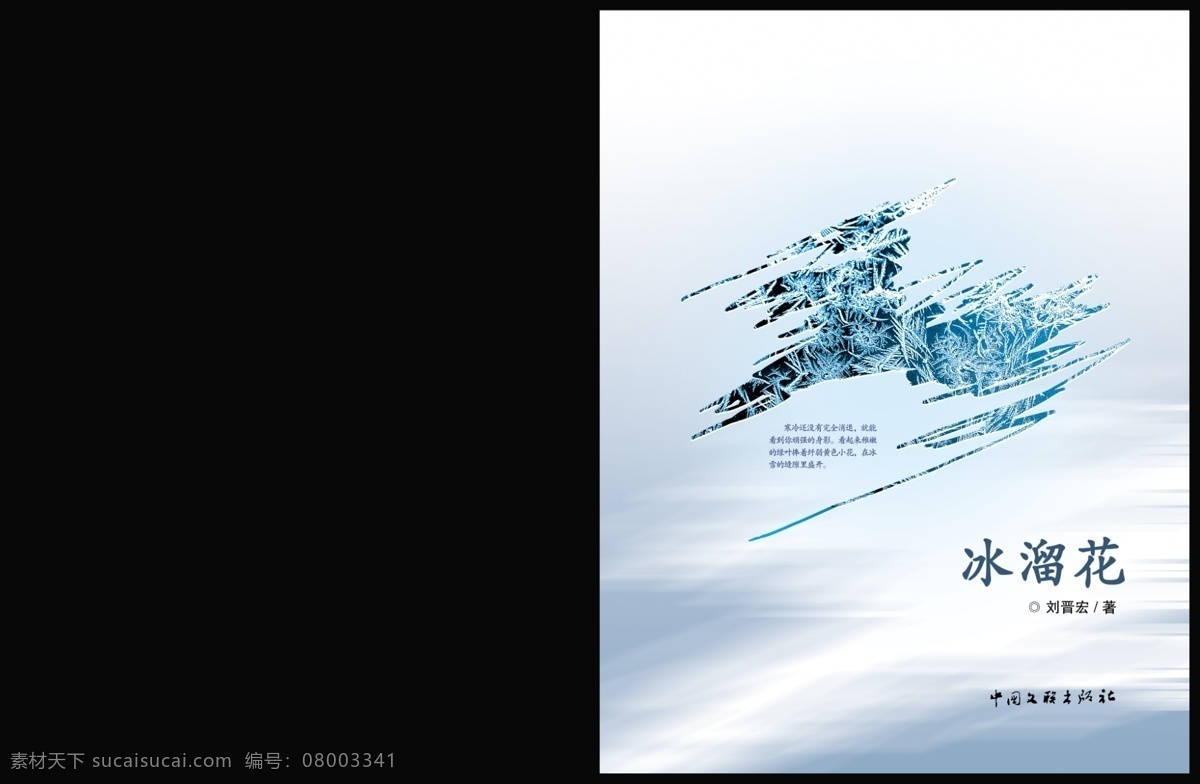 冰溜 花 封面 封皮 画册 画册封面 蓝色封面 手册 冰溜花 企业画册封面