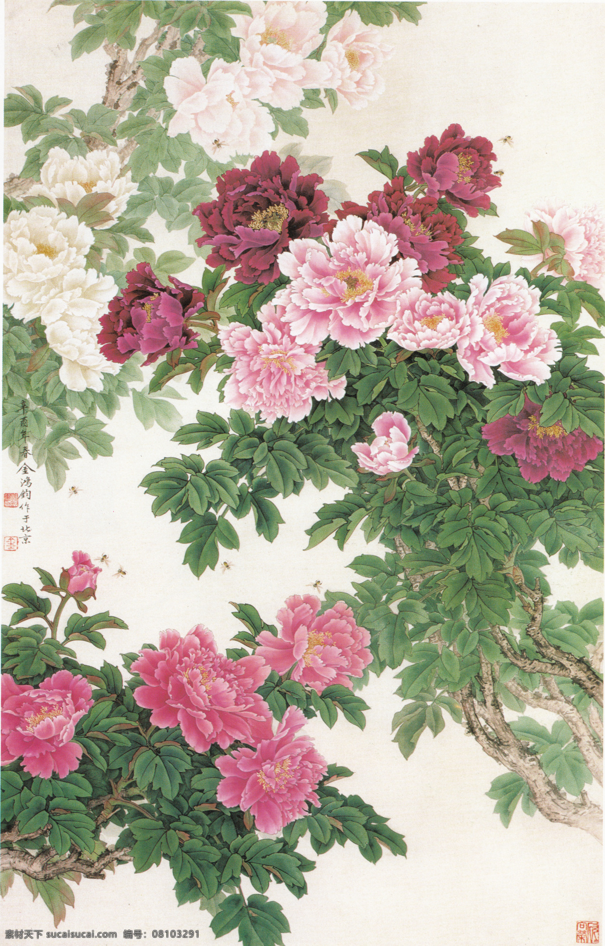 牡丹 国画 重彩 现代 工笔 花鸟 美术 绘画 中国画 工笔重彩画 彩墨画 艺术 绘画书法 文化艺术