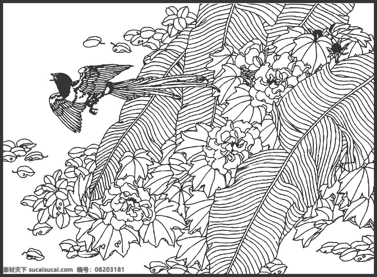 植物 花卉 观赏 鸟儿 装饰 线条 矢量 插画 白描 花鸟白描图 生物世界 鸟类