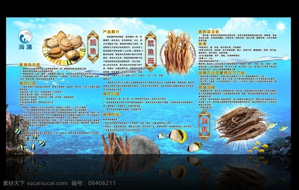 鲍鱼 鱿鱼 母 海马 东山岛 海报 海鲜 简介 干货 芦笋 芦笋茶 目鱼干 鱿鱼干 小鱼 漳州 海澜 大海 蓝天 复古 精美 食品 美食 展板模板 矢量