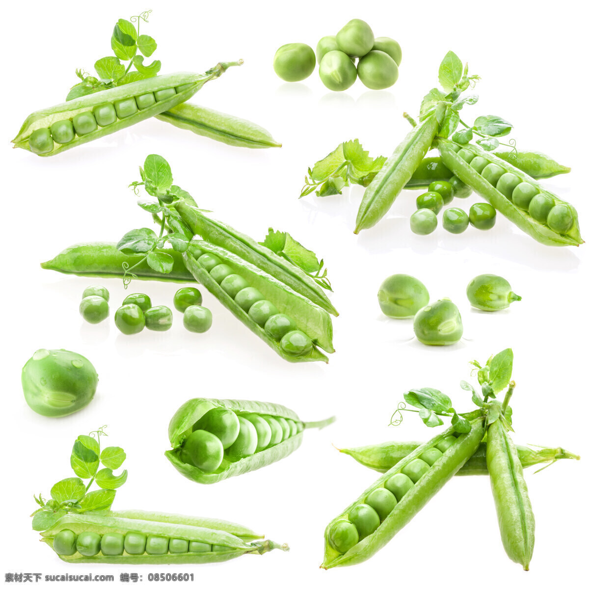 麦豌豆 寒豆 雪豆 毕豆 麻累等 荷兰豆 回鹘豆 豌豆海报 豌豆广告 豌豆装饰画 豌豆黄促销 芋头 绿豆 豆沙糕展板 八珍糕 澄沙糕 豌豆糕包装 豌豆糕易拉宝 豌豆糕画册 豌豆糕招贴 豌豆糕团购 豌豆糕不干胶 豌豆糕宣传 新鲜豌豆 超市豌豆 餐饮美食 食物原料