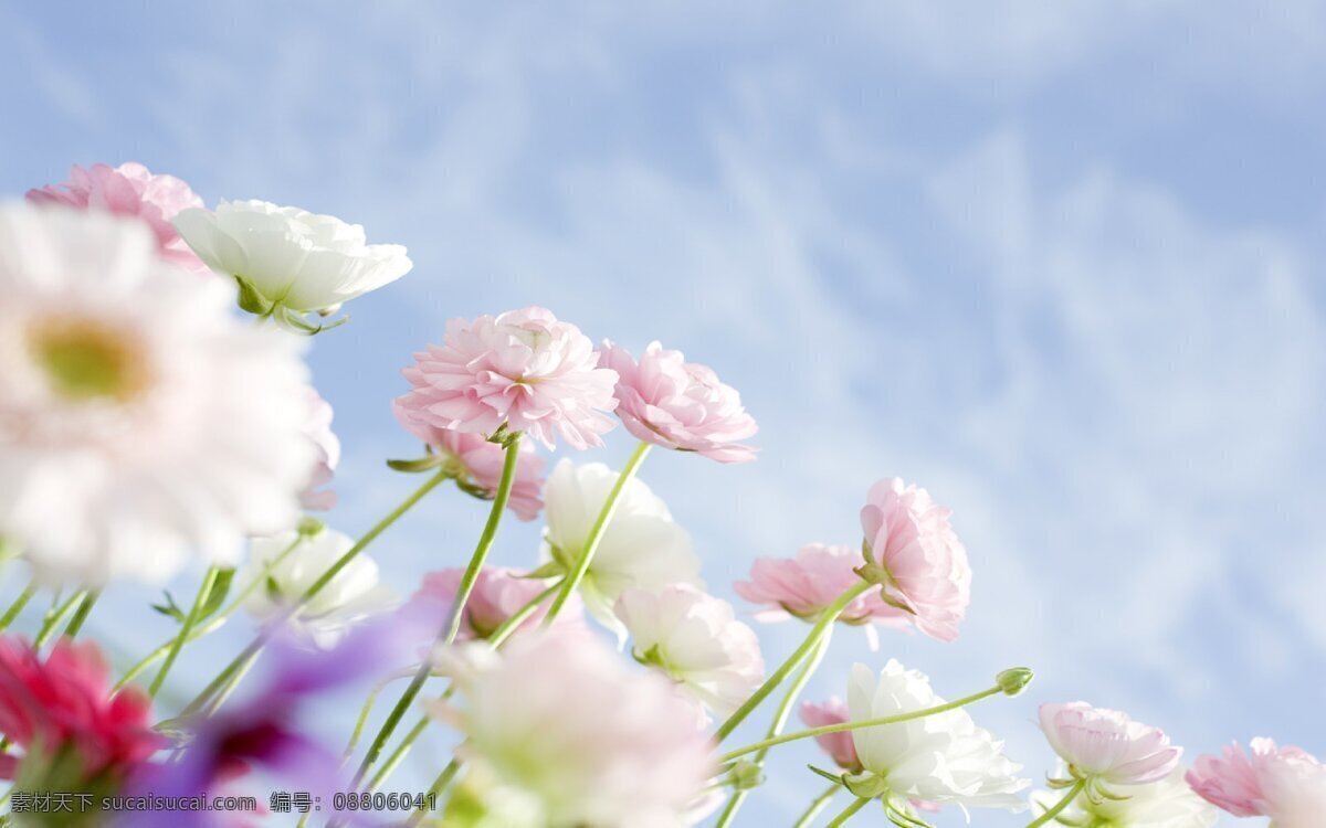 自然风景 春天背景图 花卉 麋鹿 蝴蝶 大海报 广告图 简约 清新 卡通 背景 海报 大气 唯美 漂亮 蓝色 黄色 橘色 浅色系 科技 家庭 聚会 植物 温馨 小清新 云朵 树 花草 矢量背景 浪漫 温馨海报 绿色海报 植物花卉 花圃园艺 湖水 水面 山脉摄影 山丘 沙滩 高山 岩石 自然景观