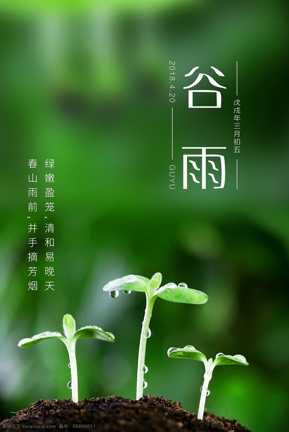 清新 绿色 春季 谷雨 海报 春雨 节气 展板 二十四个节气