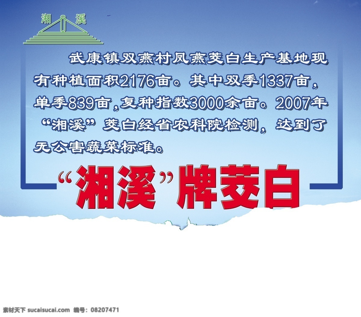 湘 溪 牌 茭白 户外 喷绘 版面 户外喷绘 双燕村 茭白地 蓝天 湘溪牌 分层 源文件