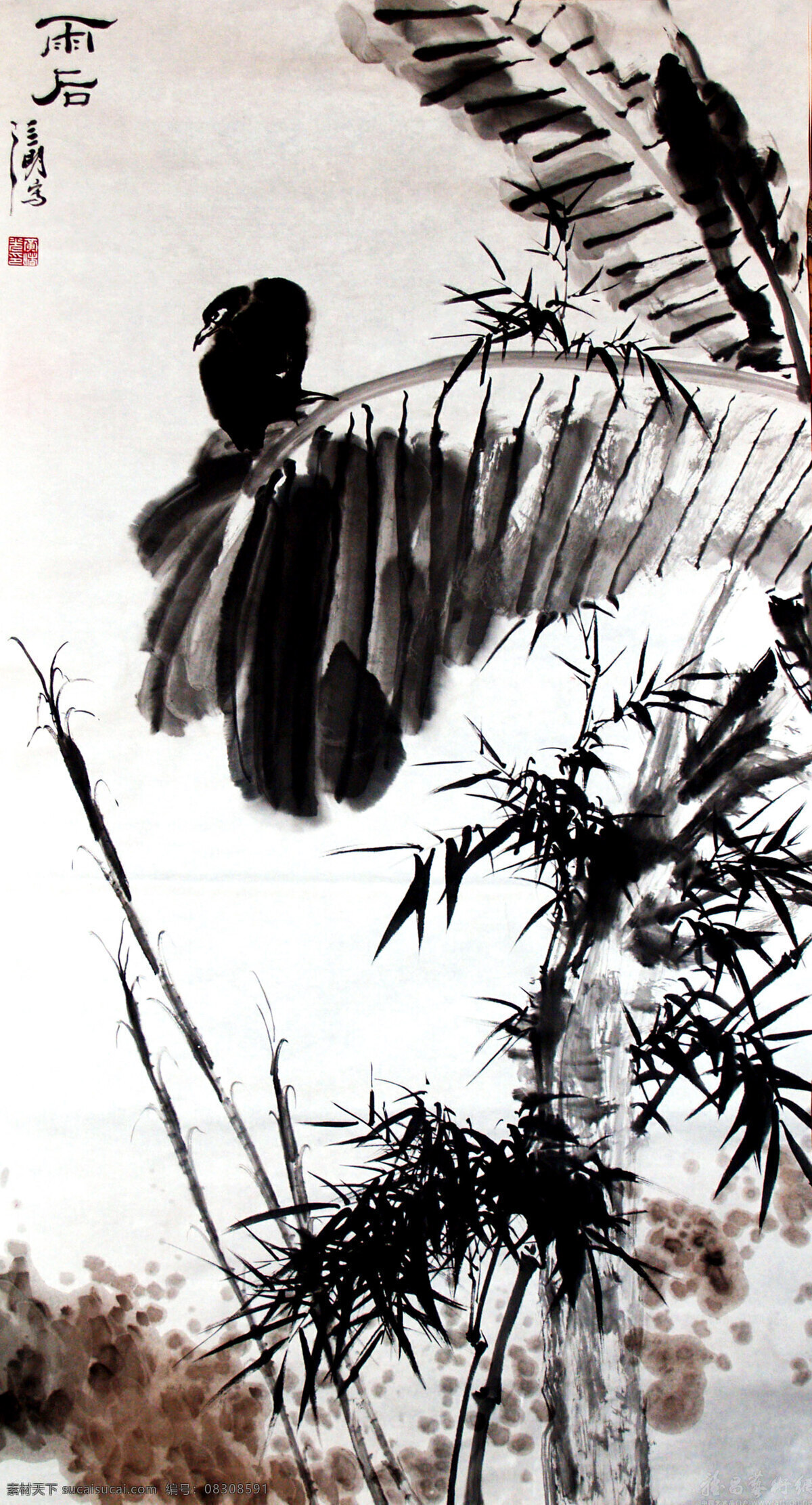 国画艺术 花卉画 画 绘画书法 石头 书法 水墨画 雨后 中国画 植物 芭蕉树 竹子 小鸟 野草 印章 国画集 文化艺术 家居装饰素材 雕刻 图案
