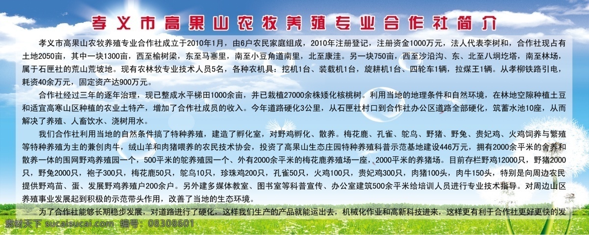 农业 合作社 简介 白云 广告设计模板 蓝天 绿草地 蒲公英 源文件 展板模板 矢量图 日常生活