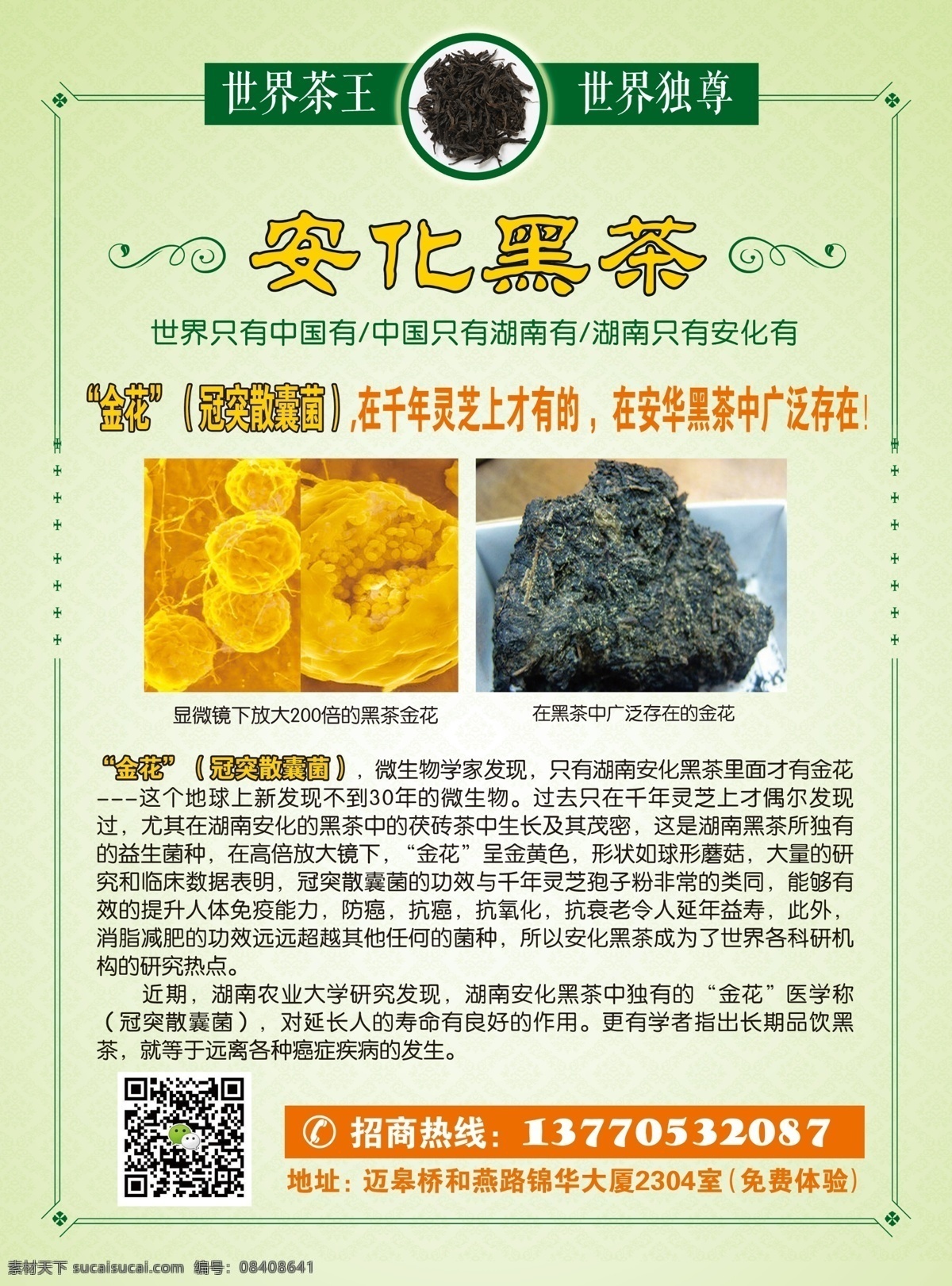 茶单页 茶山 宣传单页 茶边框 茶具 绿色 dm宣传单