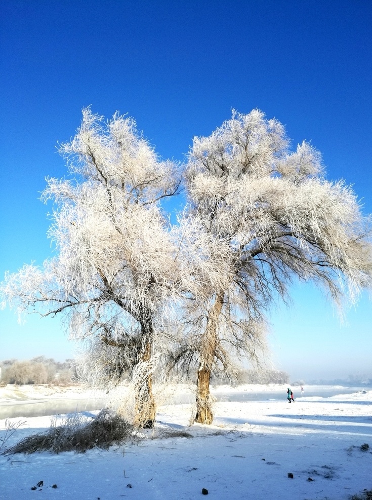 雾凇图片 长春 吉林 长白山 天池 雪村 新华桥雾凇 雾凇 伪满皇宫 长春净月潭 净月潭 龙潭桥 聚龙泉 长白山瀑布 二道河 吉林延吉 长春机场 博物馆 城市规划馆 松花江 祖国大好风光 旅游摄影 国内旅游