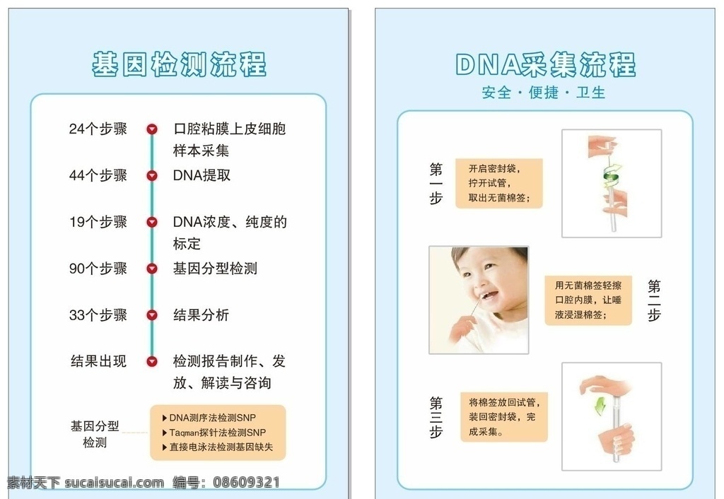 基因 检测 流程 展板 dna采集 基因检测 基因分型 dna提取