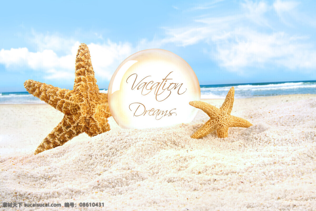 美丽 海星 沙滩 风光 贝壳 海螺 海洋生物 海滩 沙子 夏日海洋风景 大海图片 风景图片