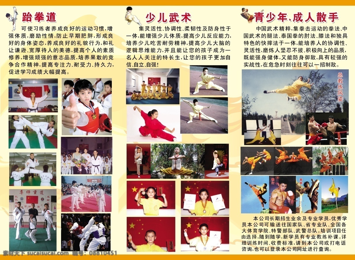 少儿散打 海报 黄色底图 跆拳道图片 跆拳道 少儿散打图片 少儿武术 青少年 成人 散打 公司 常 期 招生 广告设计模板 源文件