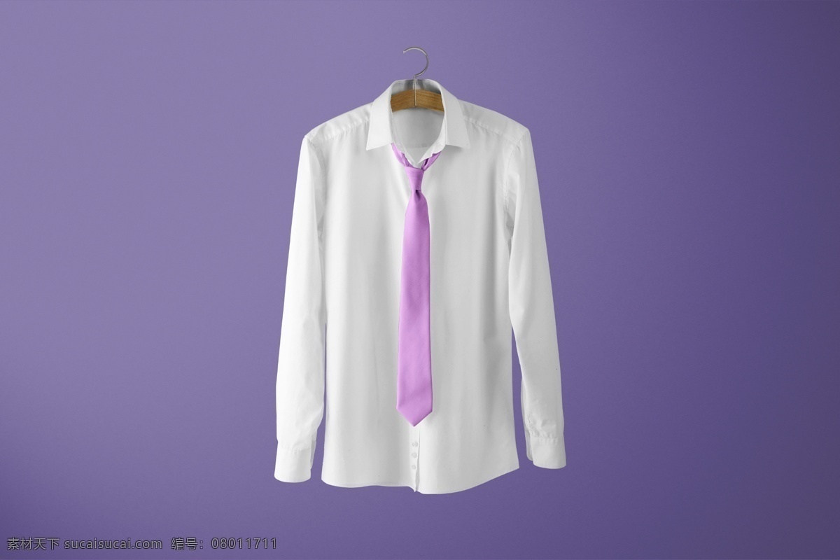 领带样机 领带 西装领带 服饰 服装配饰 领带样式 样机 贴图 衬衫样机 生活百科 生活用品