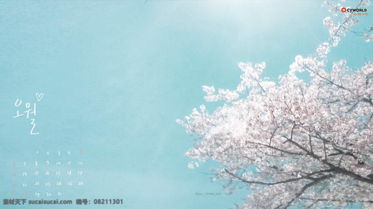 背景免费下载 美图 意境 樱花 风景 生活 旅游餐饮