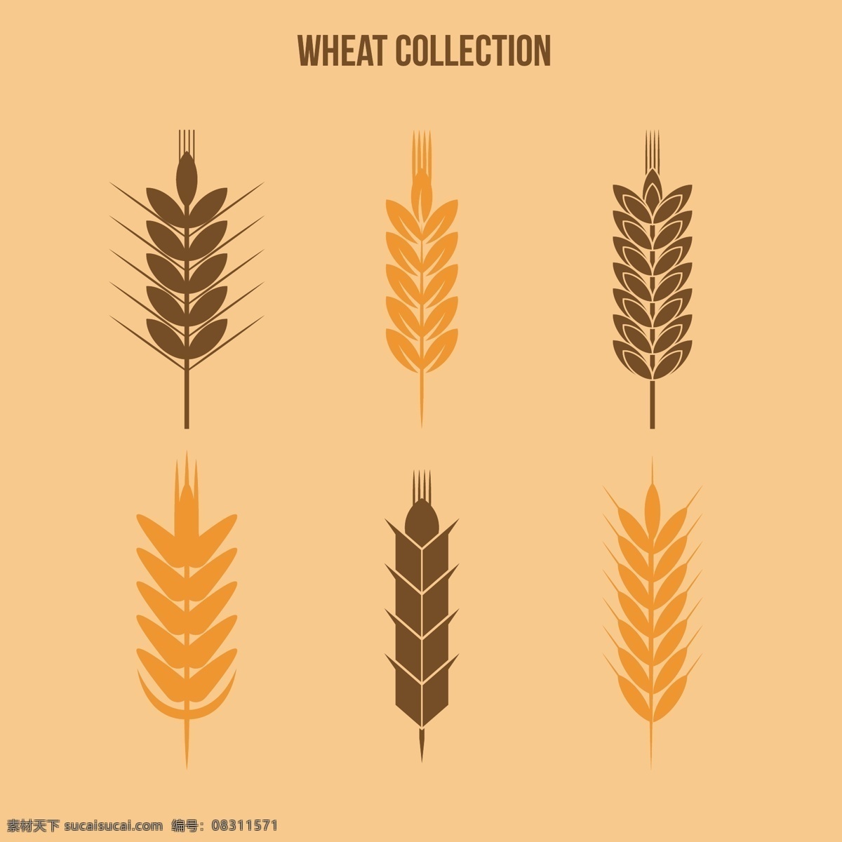 款 小麦 合集 图案 粮食 手绘插画 麦穗 谷物 设计元素 金色麦穗 小麦合集 卡通小麦合集 大麦 成熟的麦穗