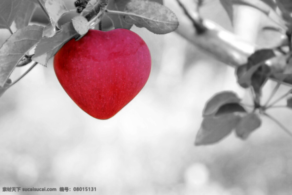 新鲜 心形 苹果 心形苹果 红色苹果 红苹果 水果