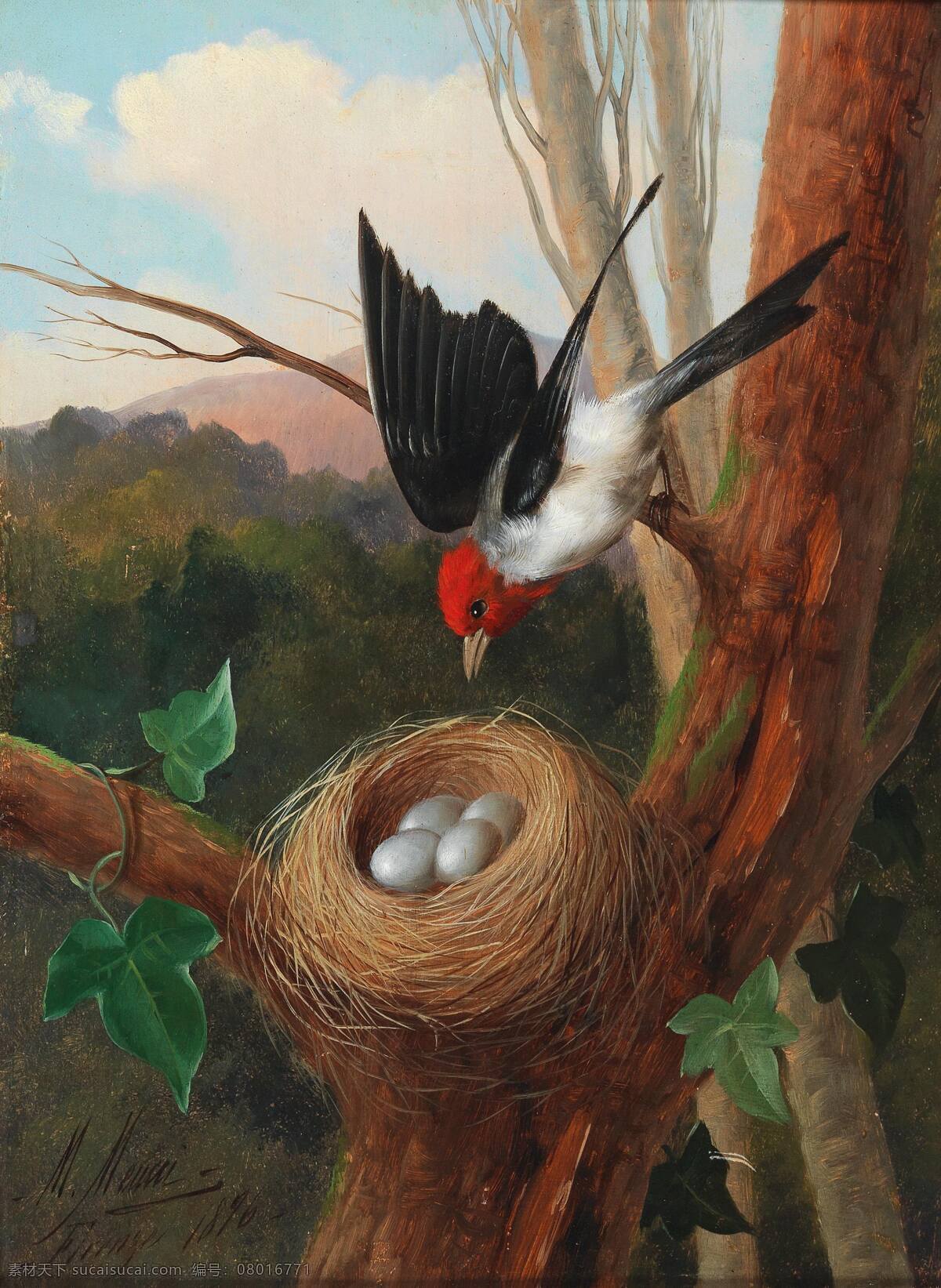 北美红雀 树干上 鸟巢 鸟蛋 鸟儿归来 保护 19世纪油画 油画 文化艺术 绘画书法