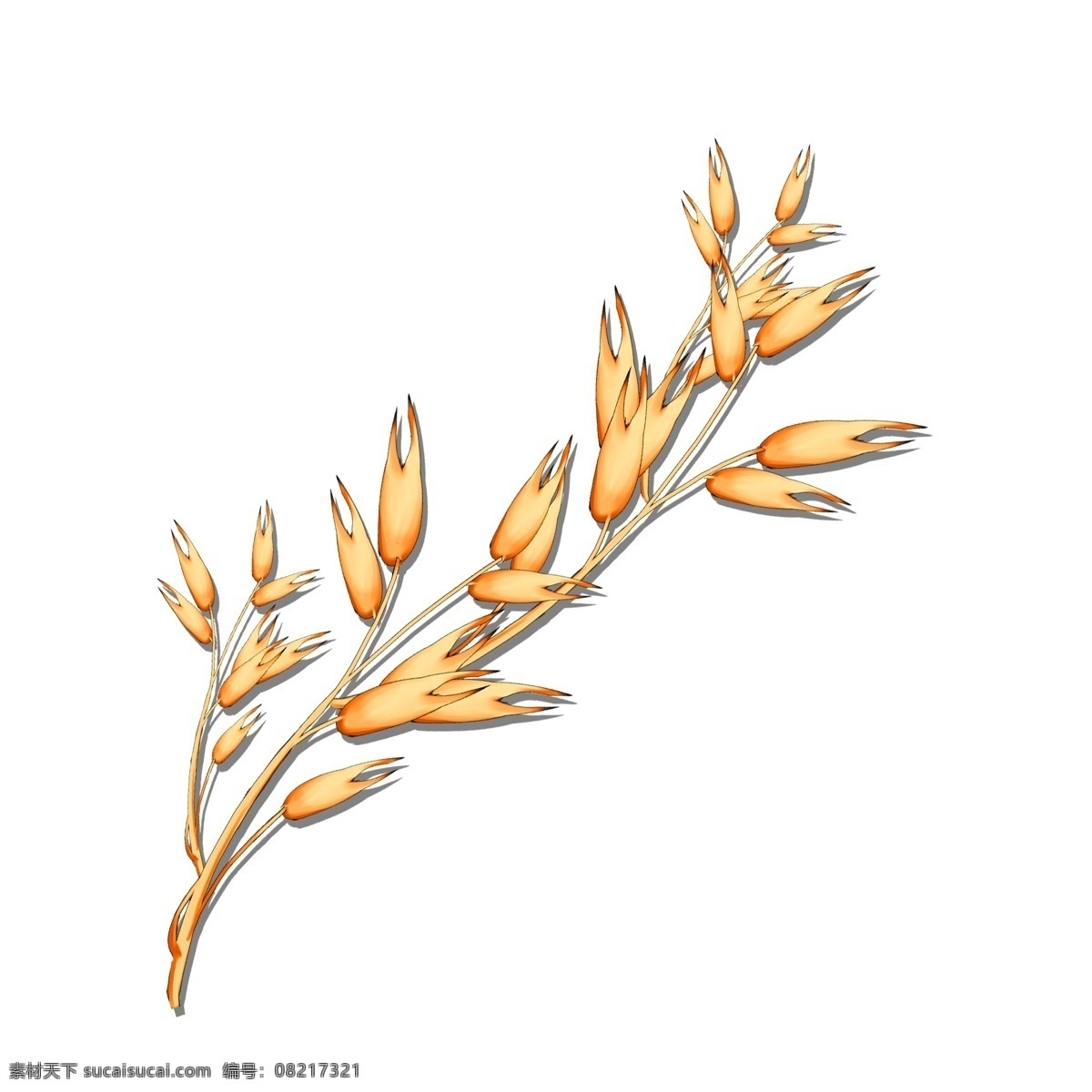 萌芽 麦穗 生长 中 大米 五谷杂粮 颗粒 成熟 丰收 黄色 萌芽的 生长中 成长 茂盛 装饰 图案