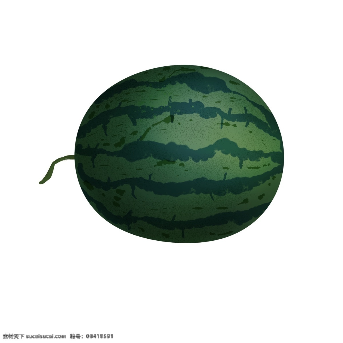 整个 西瓜 写实 插画 一整个 一个西瓜 绿色 水果 夏天 夏季 仿真 食物 免抠 解渴 手绘