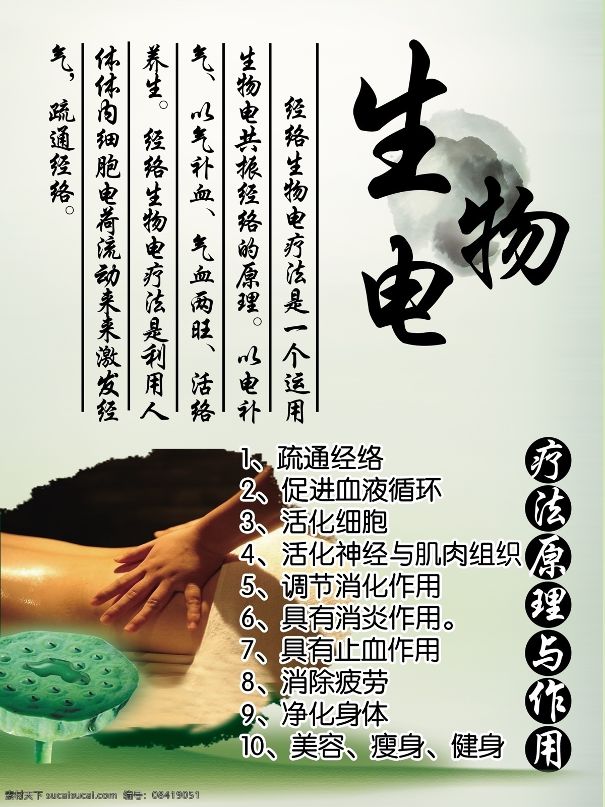 生物电展板 生物电 疗法原理与 作用图片 按摩 中国风 疗法与作用 展板 宣传单 绿色 藕 莲子 背部 背部按摩