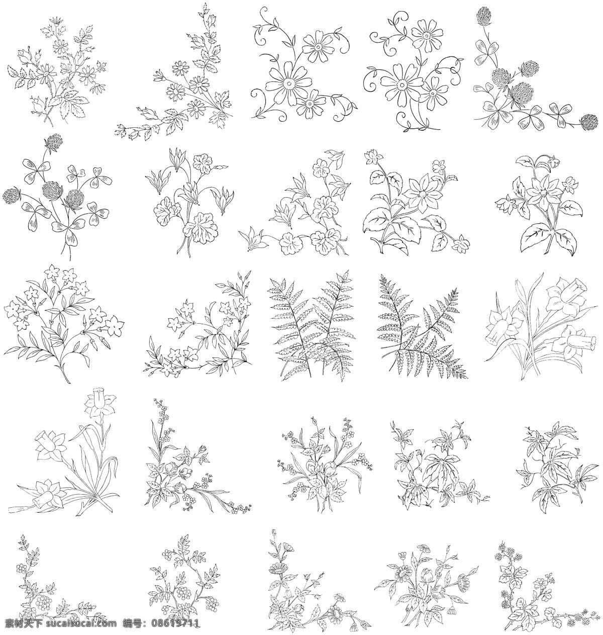 白描 花卉 植物 线 稿 线稿 实用 秘密花园 漫画 相关 底纹边框 花边花纹