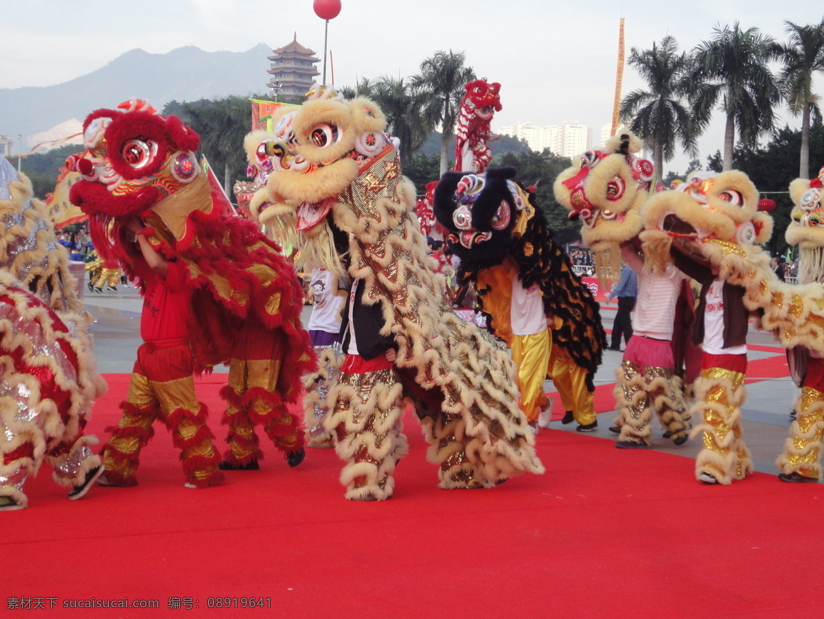 醒狮 节目表演 喜庆活动 活动现场 传统节日 节日庆祝 文化艺术