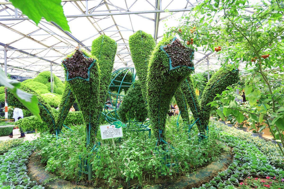 展馆 一隅 薄荷 架子 生物世界 蔬菜 展馆一隅 蔬菜造型叶子 樱桃番茄 大头菜 风景 生活 旅游餐饮