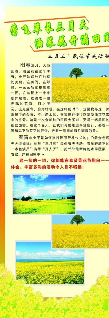 油菜花展架 油菜花 黄花 田野 春天 花园 花草 生物世界 展架 其他设计 矢量