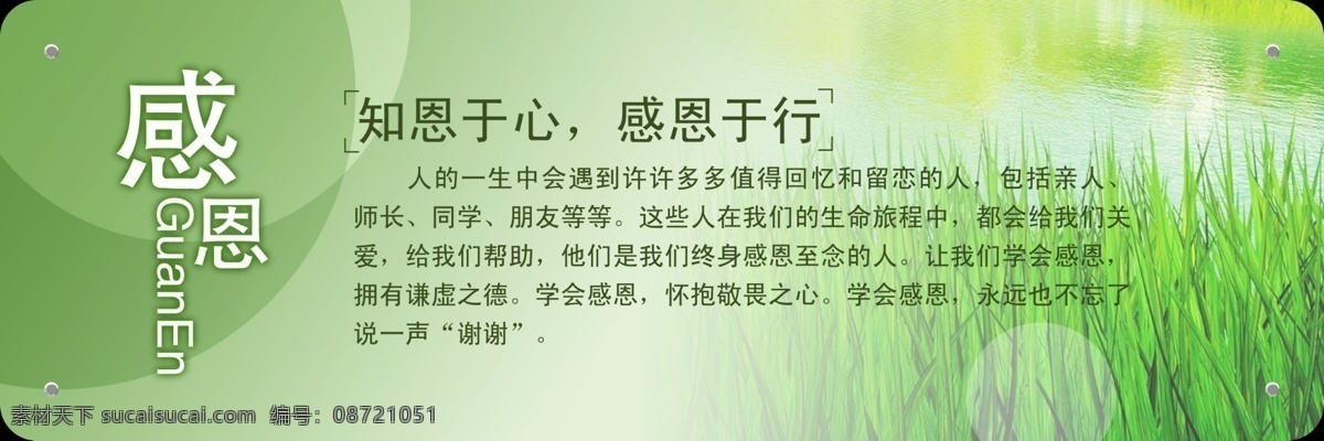 淡雅 广告设计模板 花 模板 素雅 文化墙 校园 校园文化 学校 展板 模板下载 学校展板 雅致 展板模板 源文件 其他展板设计