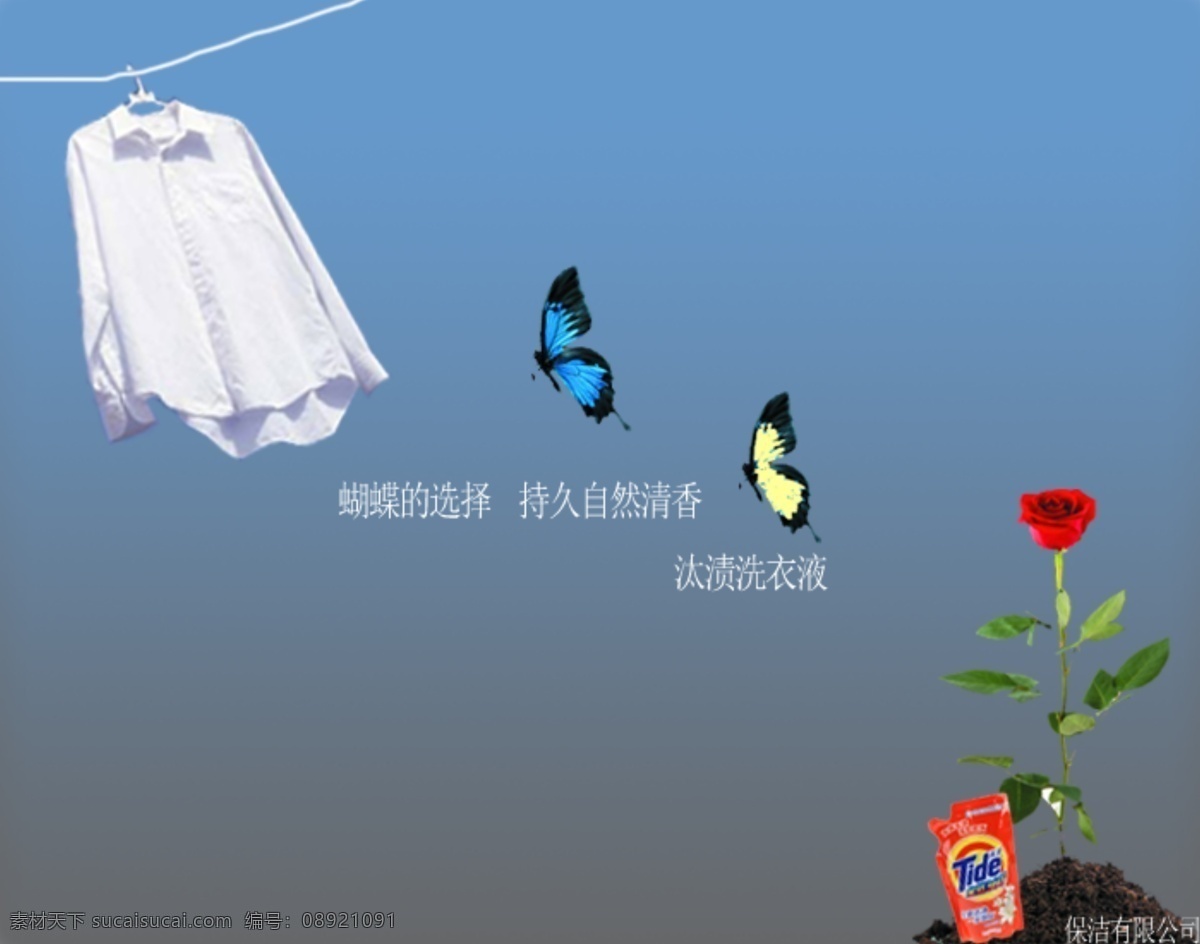 洗衣液 创意 广告 蝴蝶的选择 白衬衣 蓝色