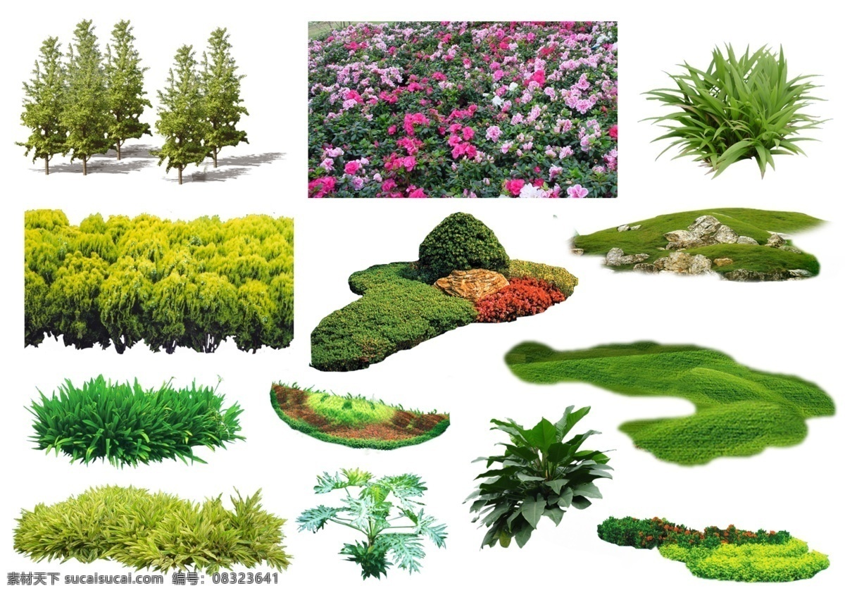 景观植物假山 景观植物 假山 环境设计 景观设计 源文件库