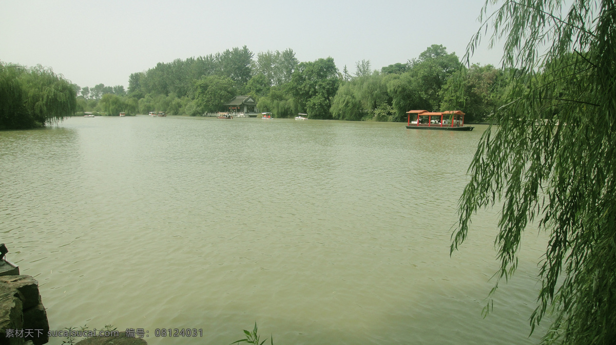 瘦西湖风景 西湖风景 杨柳 碧水 垂柳 图片类 旅游摄影 国内旅游