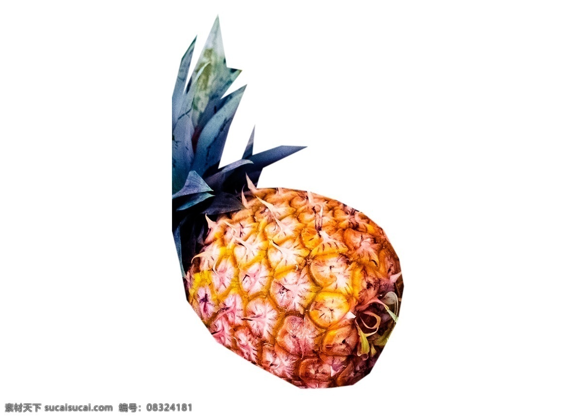一个菠萝 水果 美味 好吃