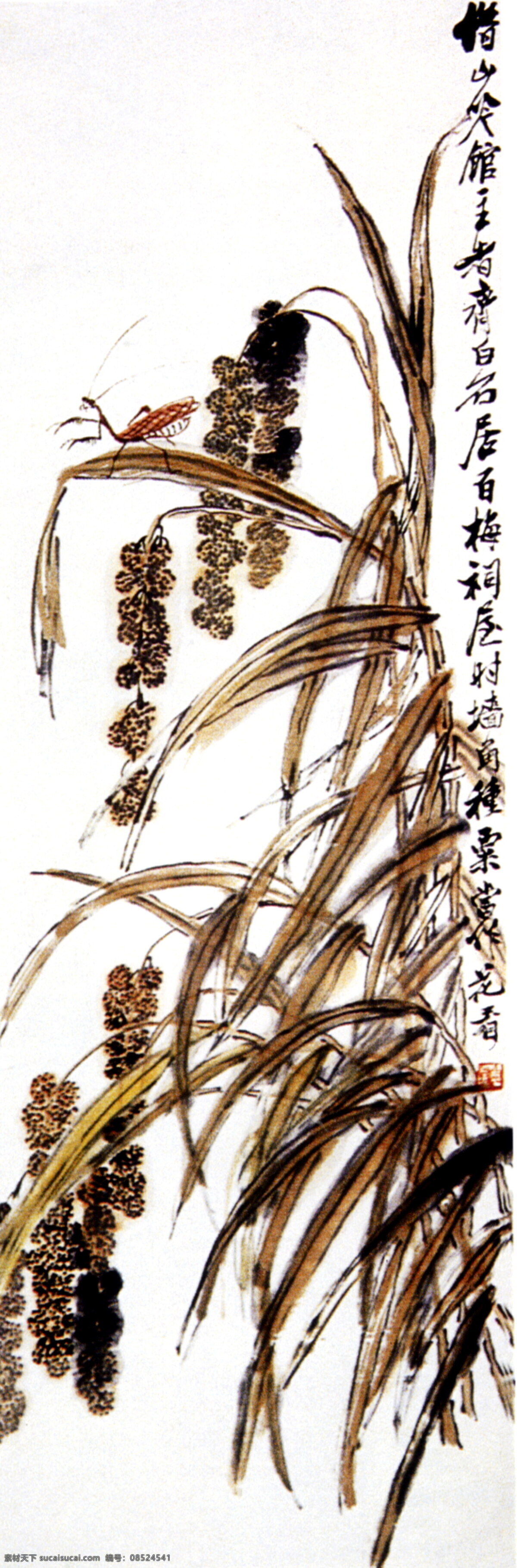 彩墨画 丰收 谷穗 国画 国画艺术 花卉画 绘画书法 昆虫 美术 中国画 水墨画 螳螂 麦穗 齐白石 文化艺术 生物世界