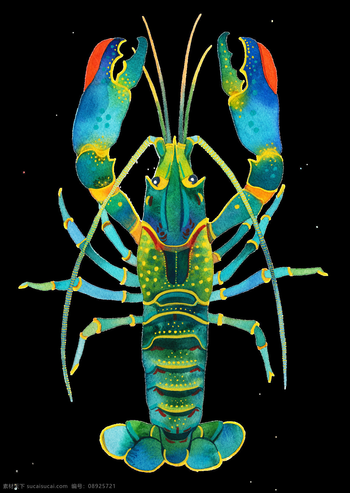 水彩 绘画 海虾 螃蟹 小 龙虾 海产 图案 虾子 小龙虾 海鲜 海洋生物 水产 鱼类 食物 手绘 颜料 小清新 包装图案 卡通 生物世界