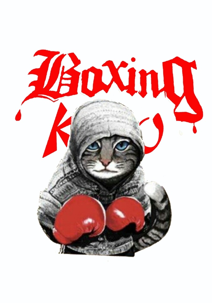 拳击猫 猫 个性t恤 t恤印花 拳击手套 动漫动画