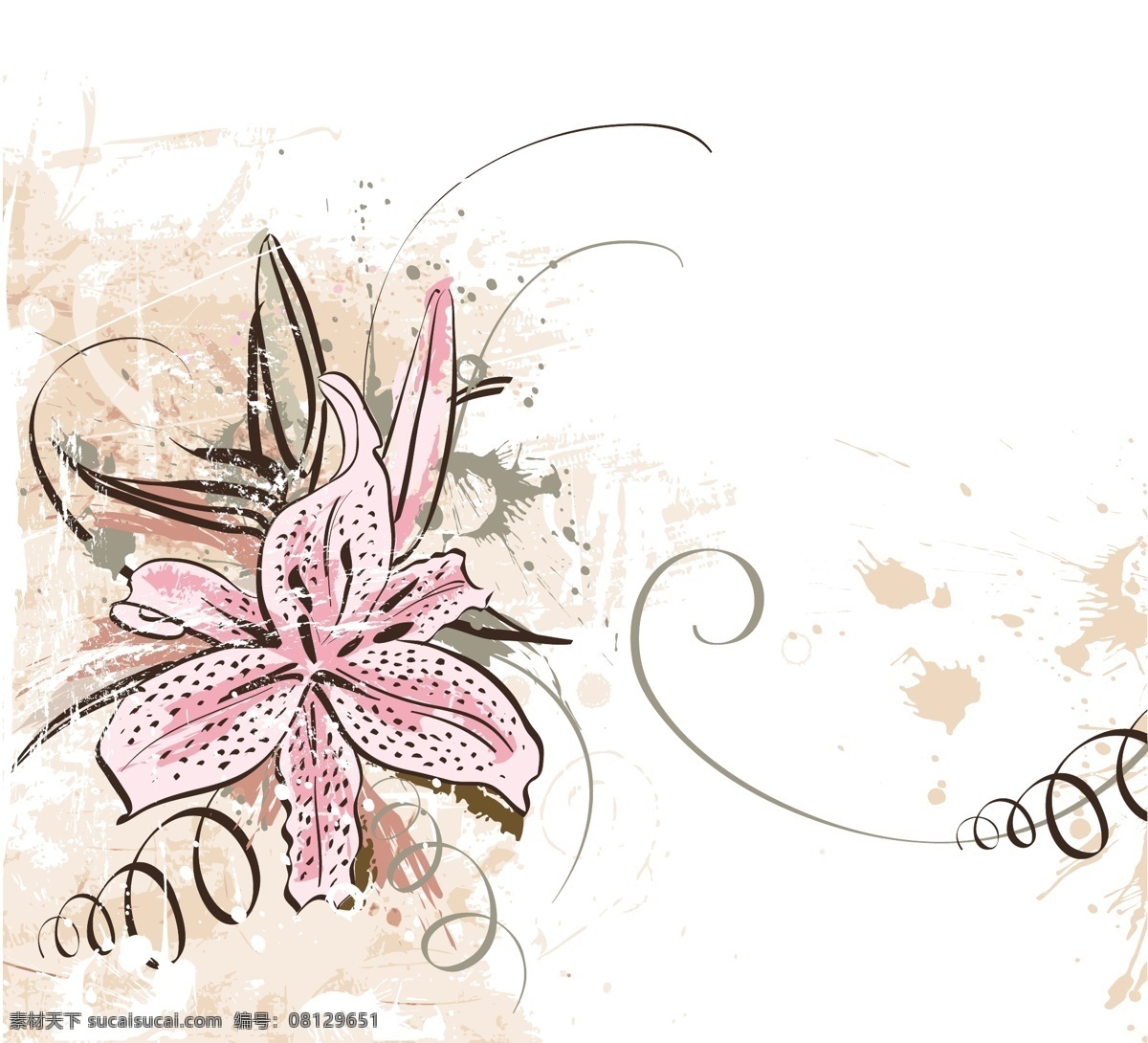欧美 矢量 花纹 矢量图 花纹花边