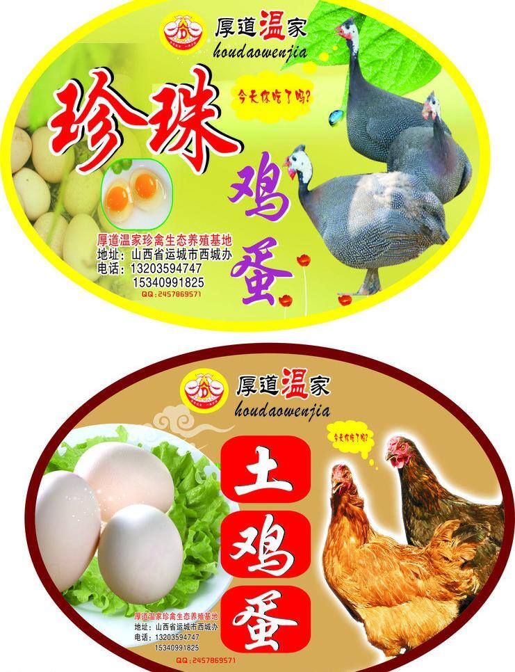 珍珠鸡 标签 其他设计 土鸡 矢量