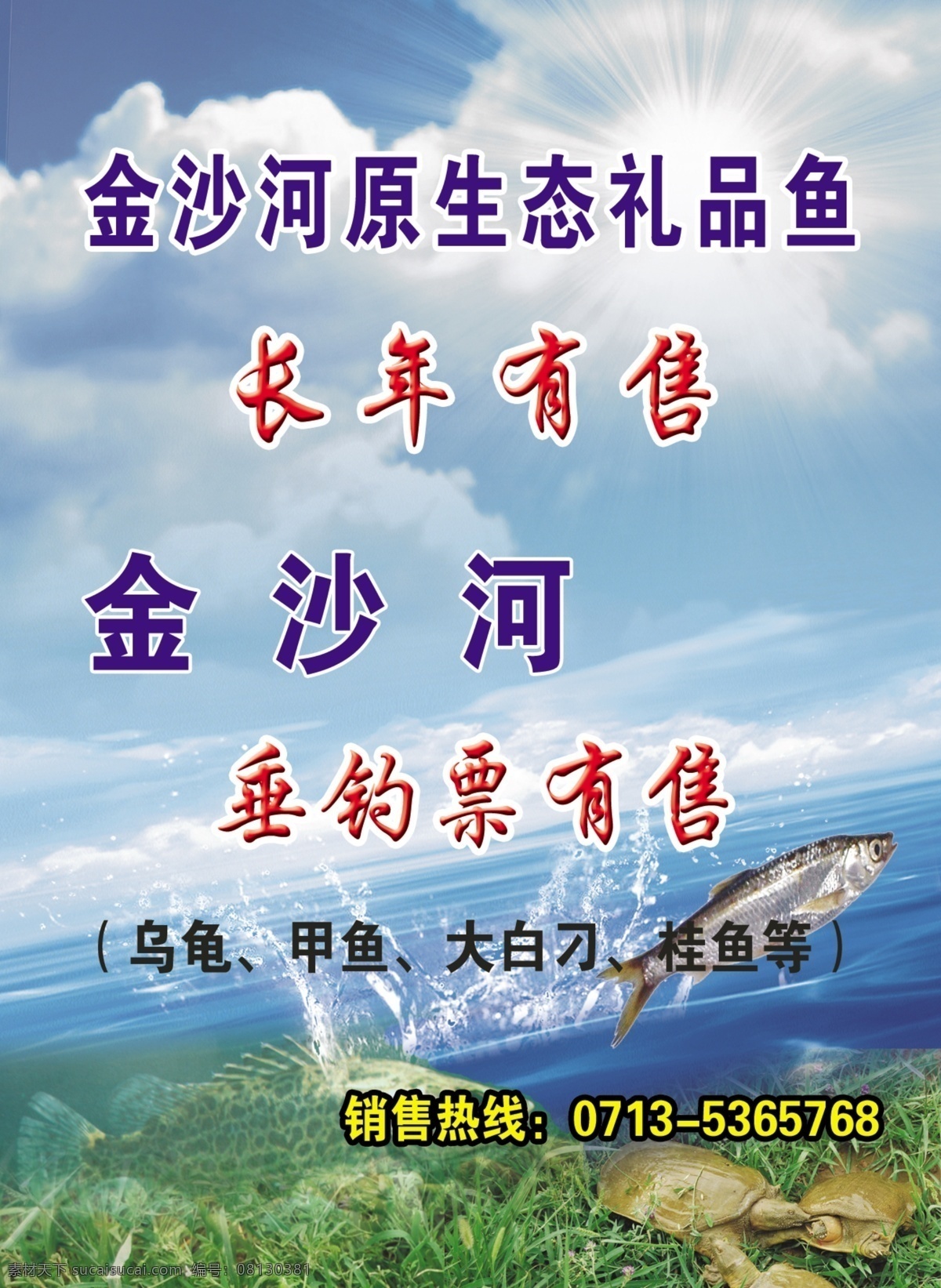 礼品鱼 蓝天 白云 太阳 大白刁 桂鱼 甲鱼 水 跳跃 水花 水草 蓝天白云太阳 广告设计模板 源文件